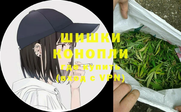 mix Богородицк